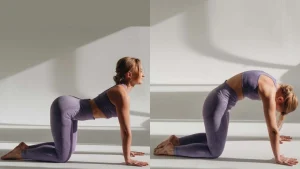 Back Pain Relief Exercises from Physiotherapy in Langley