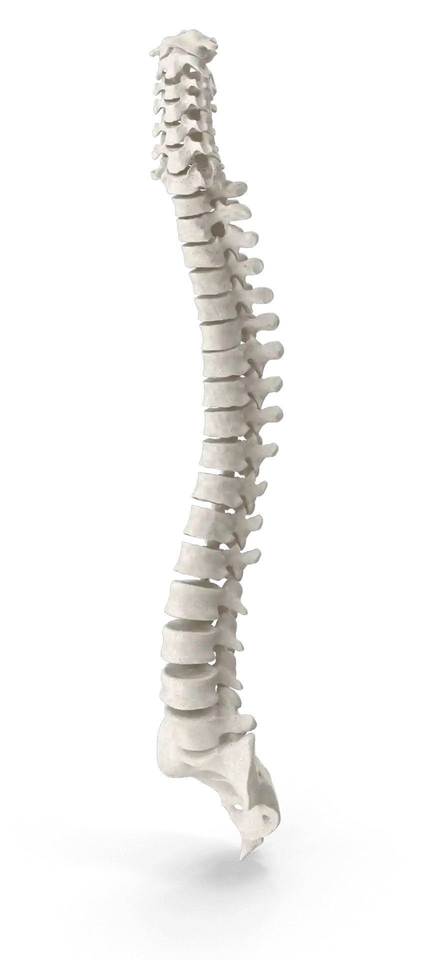 divine care physiotherapy